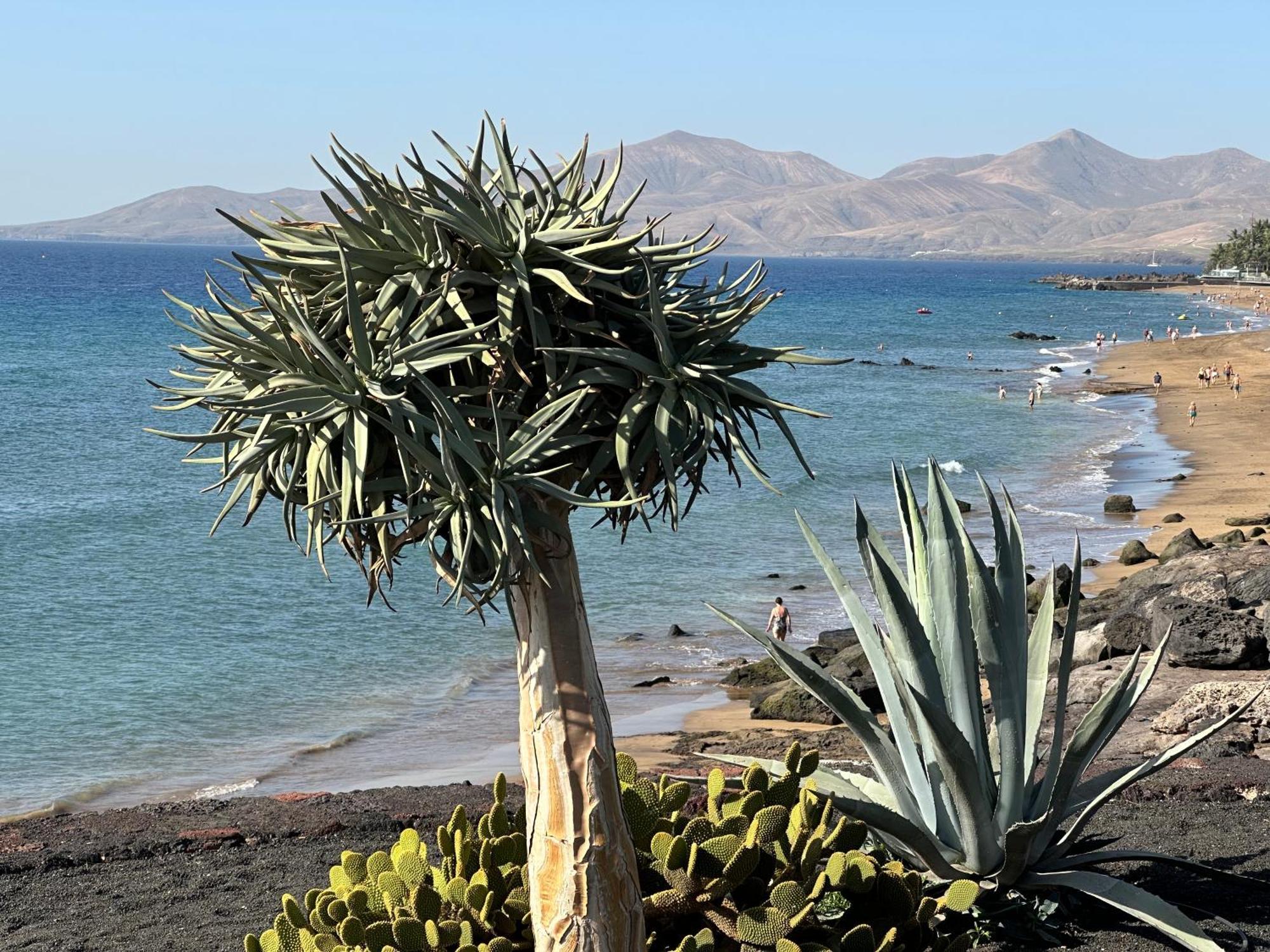 Sea View With Direct Access To Boulevard Puerto del Carmen  Kültér fotó